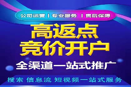 竞价推广实战经验：成功案例分享会